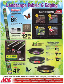 Ace Hardware Weekly Ad Page 7