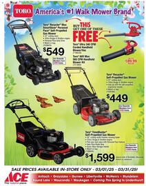 Ace Hardware Weekly Ad Page 8