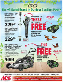 Ace Hardware Weekly Ad Page 9