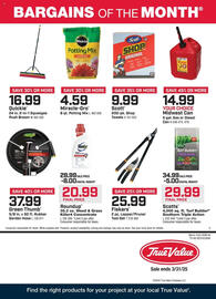 True Value Weekly Ad Page 1