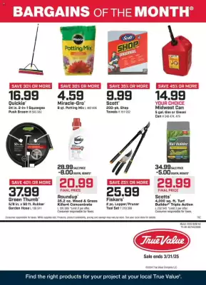 True Value Weekly Ad (valid until 31-03)