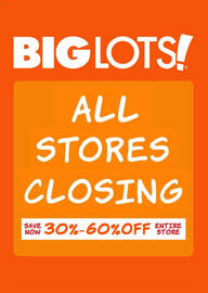 Big Lots Weekly Ad week 9 Page 1