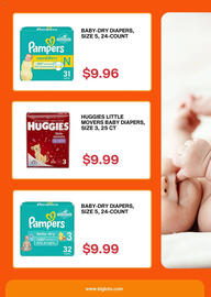 Big Lots Weekly Ad week 9 Page 2