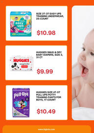 Big Lots Weekly Ad week 9 Page 3