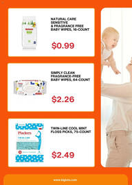 Big Lots Weekly Ad week 9 Page 4