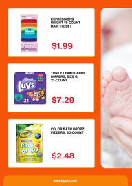 Big Lots Weekly Ad week 9 Page 5