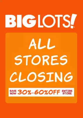 Big Lots Weekly Ad (valid until 8-03)