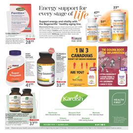 Kardish flyer Page 4