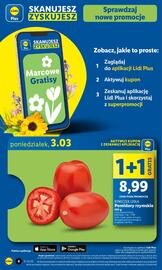 Lidl gazetka Strona 4