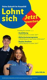 Lidl Prospekt woche 11 Seite 59