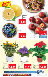 Catalog Kaufland Pagină 5