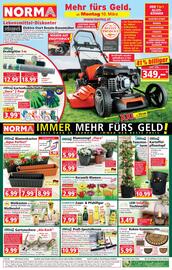 Norma Flugblatt woche 11 Seite 1