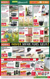 Norma Flugblatt woche 11 Seite 13