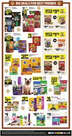 Dollar General Weekly Ad week 10 Page 10