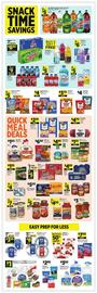 Dollar General Weekly Ad week 10 Page 2