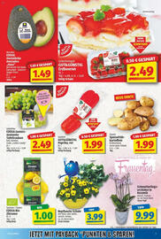 NP Discount Prospekt woche 10 Seite 6