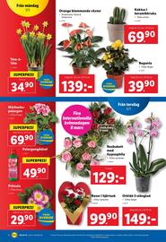 Lidl reklamblad vecka 10 Sida 19