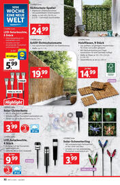 Lidl Flugblatt Seite 38