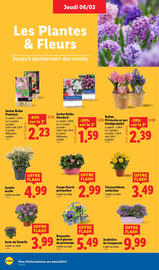 Catalogue Lidl semaine 10 page 28