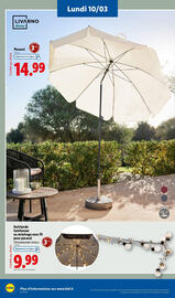 Catalogue Lidl semaine 10 page 60