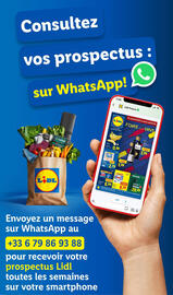 Catalogue Lidl semaine 10 page 73