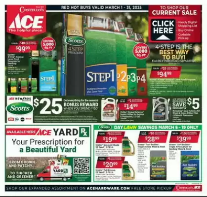 Ace Hardware Weekly Ad (valid until 31-03)