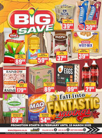 Big Save catalogue Page 1