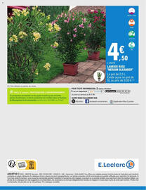 Catalogue E.Leclerc | Jardin page 40