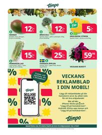 Bingebyhallen reklamblad vecka 10 Sida 4