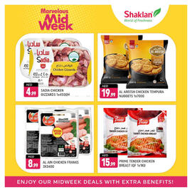 Shaklan catalogue Page 3