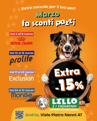 Volantino Lillo e i Vagabondi (valido fino al 31-03)