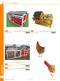 Allpet catalogue Page 24