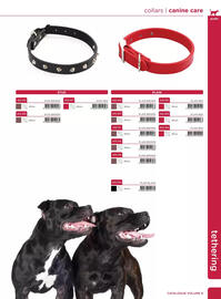 Allpet catalogue Page 27