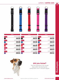 Allpet catalogue Page 29