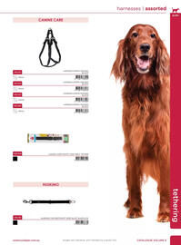 Allpet catalogue Page 47