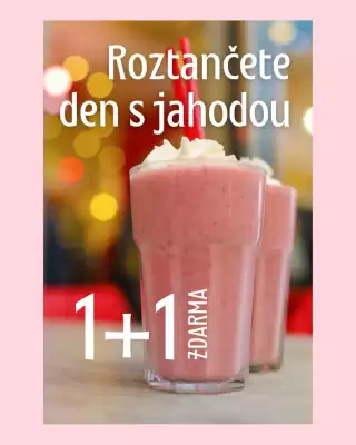 Ovocný Světozor leták (platné do 31-03)