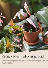 Plantagen reklamblad Sida 9