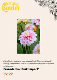 Blomsterlandet reklamblad Sida 10