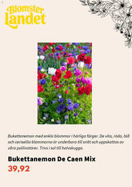 Blomsterlandet reklamblad Sida 2