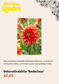 Blomsterlandet reklamblad Sida 3