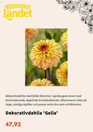 Blomsterlandet reklamblad Sida 7