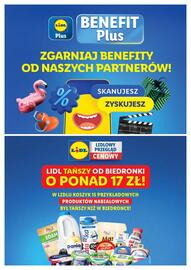 Lidl gazetka Strona 10