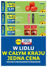 Lidl gazetka Strona 11