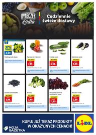 Lidl gazetka Strona 4