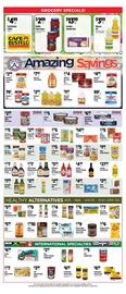 Pioneer Supermarkets Weekly Ad week 10 Page 2