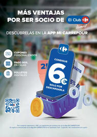 Folleto Carrefour Página 17