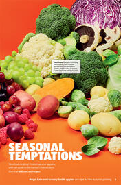 ALDI catalogue Page 3