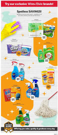 Winn Dixie Weekly Ad week 10 Page 9