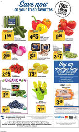 Food Lion Weekly Ad week 10 Page 12