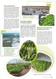 Catalogue VillaVerde page 39